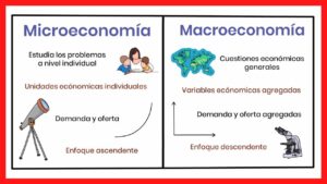 guia-de-principios-basicos-de-microeconomia-y-macroeconomia-cuales-son-las-diferencias