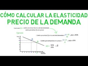 como-calcular-la-elasticidad-de-la-demanda
