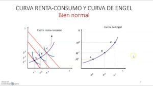 curva-renta-consumo