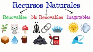 que-es-recursos-naturales-renovables